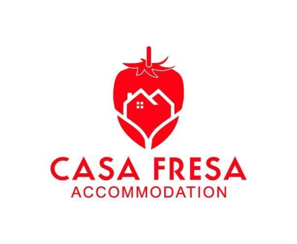 Casa Fresa - King Street Apartments 邓迪 外观 照片